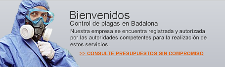 Control de Plagas El Prat de Llobregat